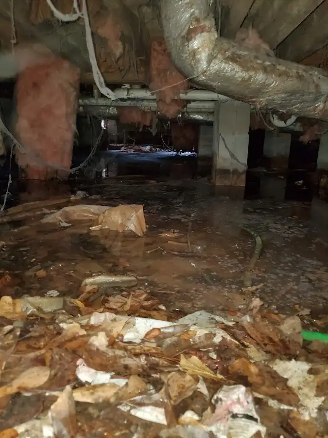 Crawl space flood assessment for Leak Detection & Repair in Newport