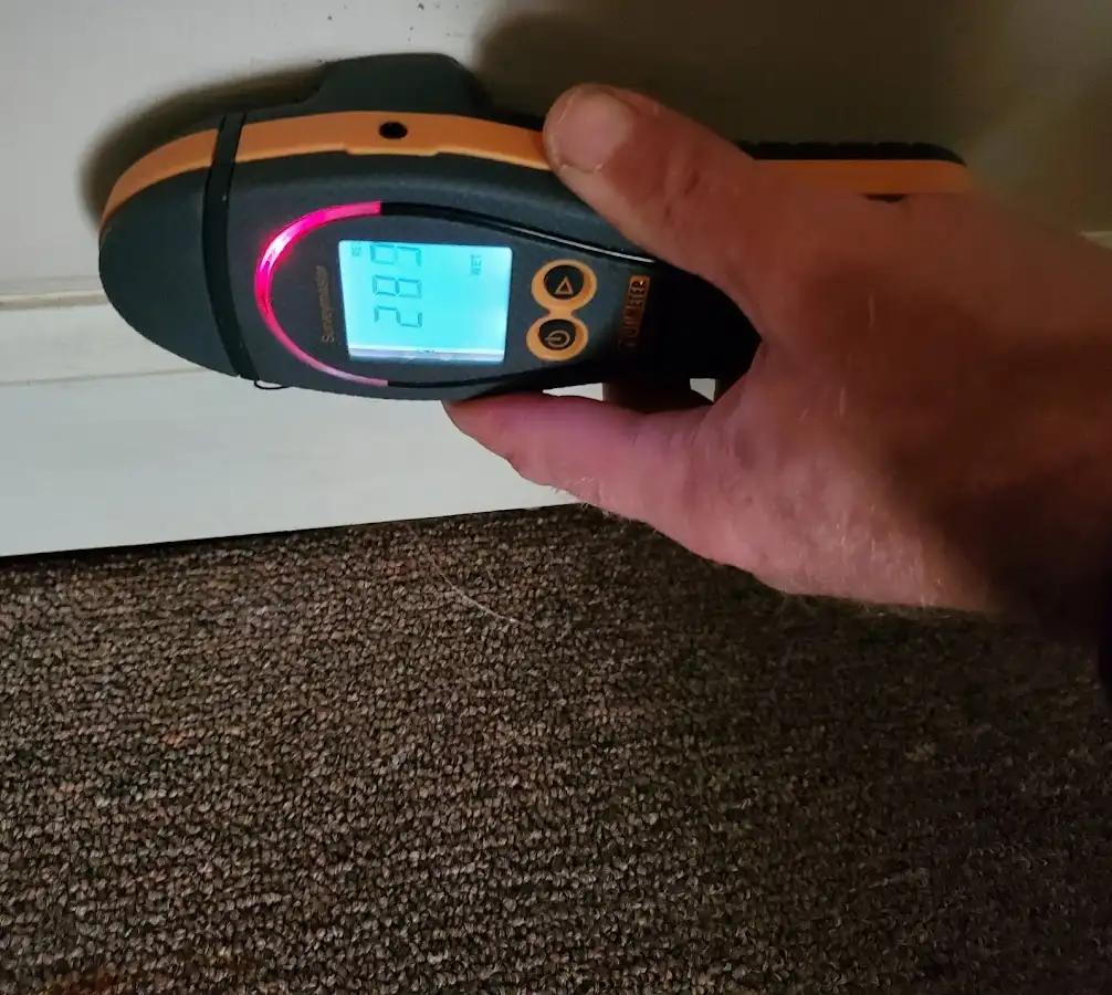Moisture detection at baseboard during Sewage Cleanup & Sanitation in Newport